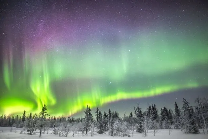 104 Reasons Why Lapland Is The Most Magical Place To Celebrate Christmas