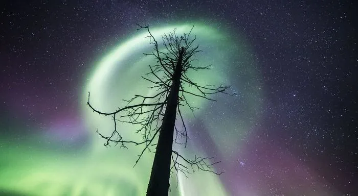 104 Reasons Why Lapland Is The Most Magical Place To Celebrate Christmas