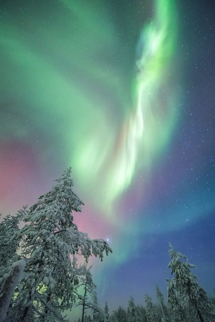 104 Reasons Why Lapland Is The Most Magical Place To Celebrate Christmas