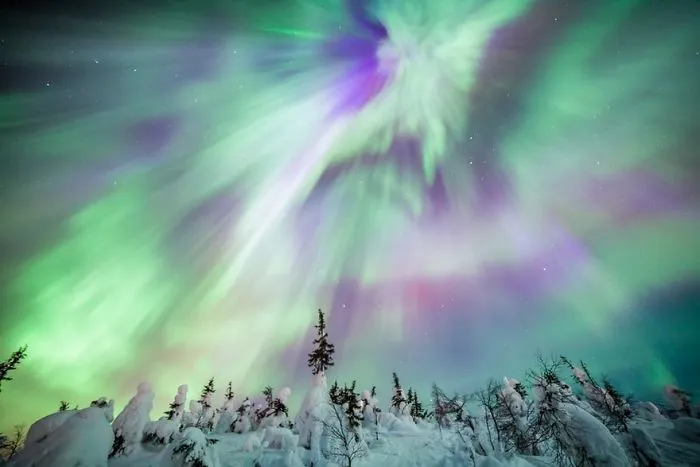 104 Reasons Why Lapland Is The Most Magical Place To Celebrate Christmas