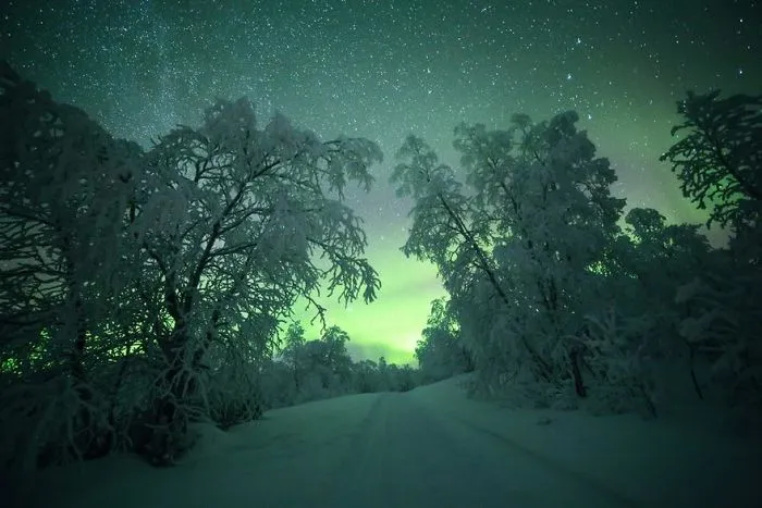 104 Reasons Why Lapland Is The Most Magical Place To Celebrate Christmas