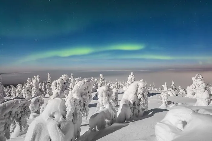 104 Reasons Why Lapland Is The Most Magical Place To Celebrate Christmas