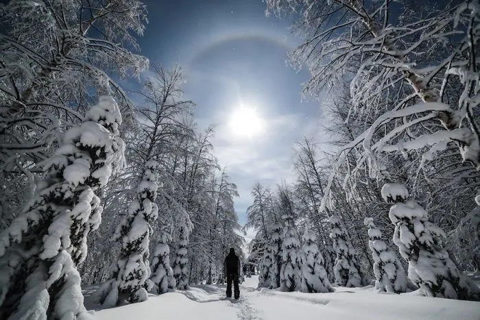 104 Reasons Why Lapland Is The Most Magical Place To Celebrate Christmas