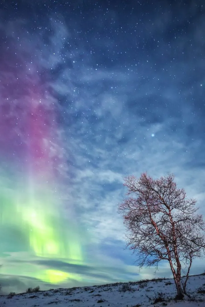 104 Reasons Why Lapland Is The Most Magical Place To Celebrate Christmas