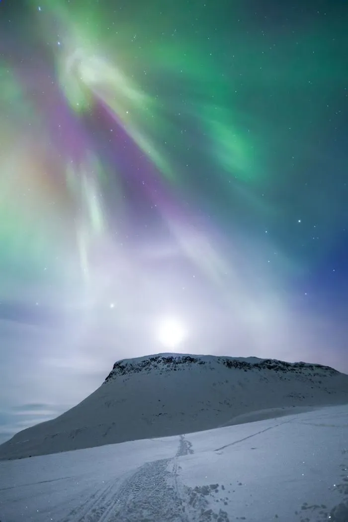 104 Reasons Why Lapland Is The Most Magical Place To Celebrate Christmas