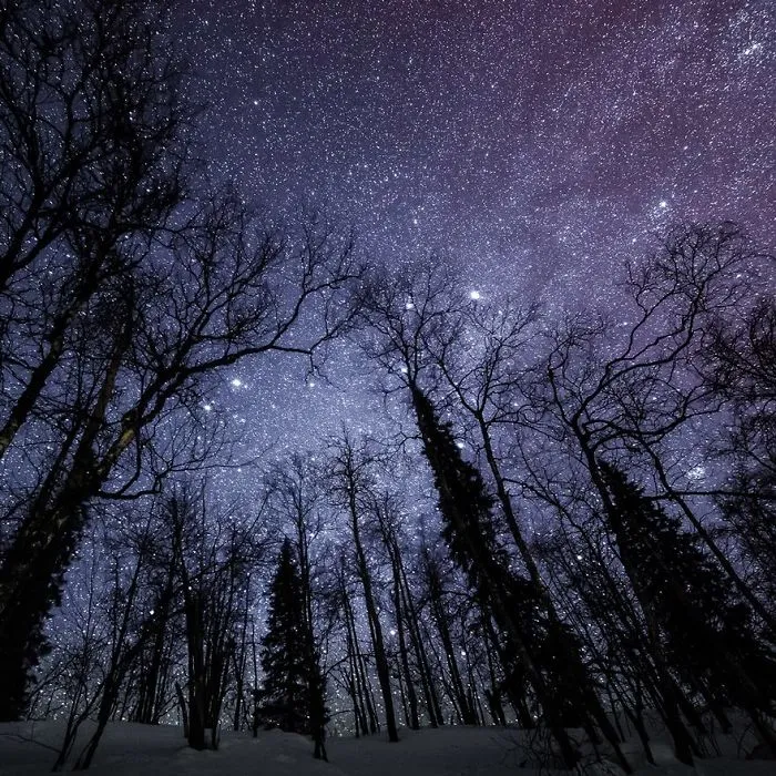 104 Reasons Why Lapland Is The Most Magical Place To Celebrate Christmas