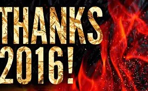 Thank You 2016 #*§!%