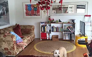 40 Genius People Who Found A Way To Protect Their Christmas Trees From Asshole Cats And Dogs