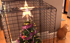 40 Genius People Who Found A Way To Protect Their Christmas Trees From Asshole Cats And Dogs