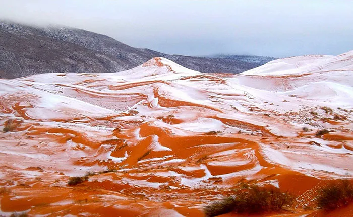 Snow Falls In The Sahara For First Time In Over 37 Years