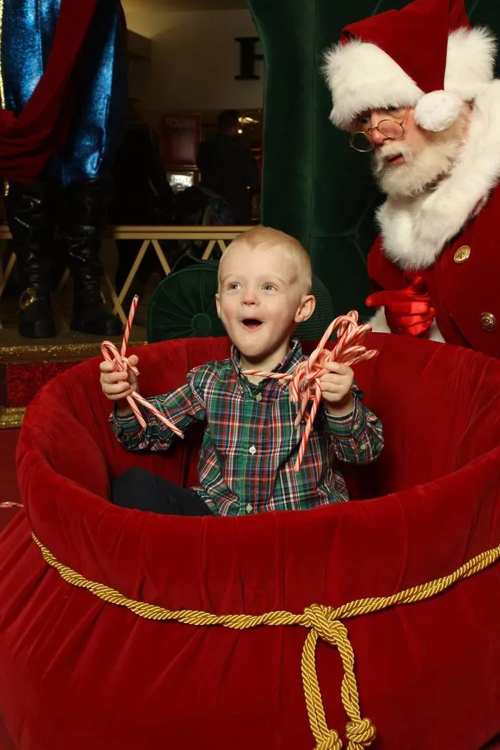 The Santa Diaries Will Get You Ho-Ho-Ho-Ing!