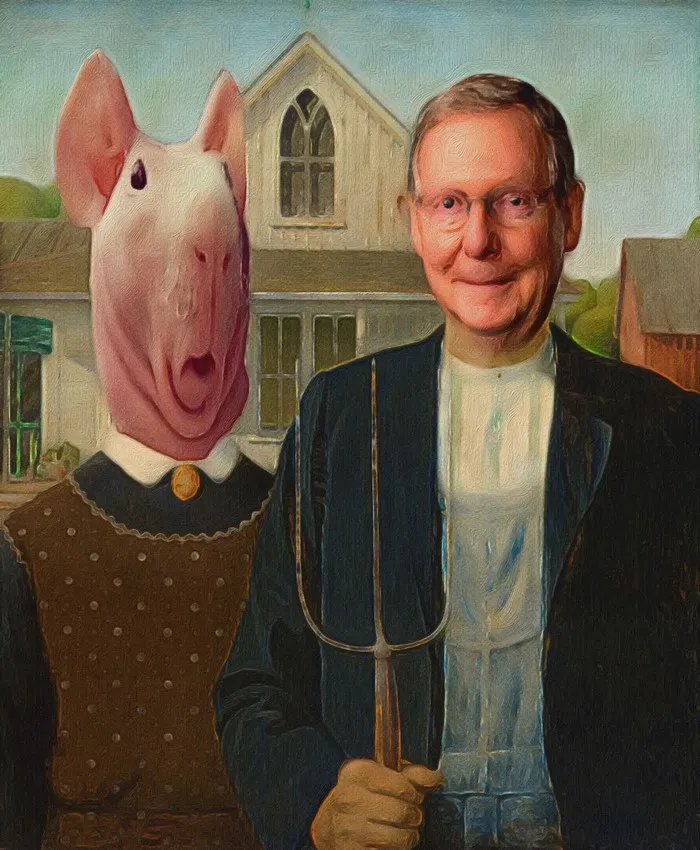 Senator's Wife