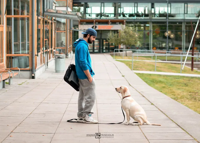 During Every Trip I Take A Picture Of My Husband And Our Labrador In The Same Position