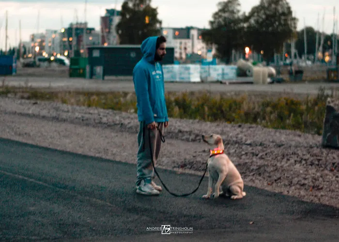 During Every Trip I Take A Picture Of My Husband And Our Labrador In The Same Position