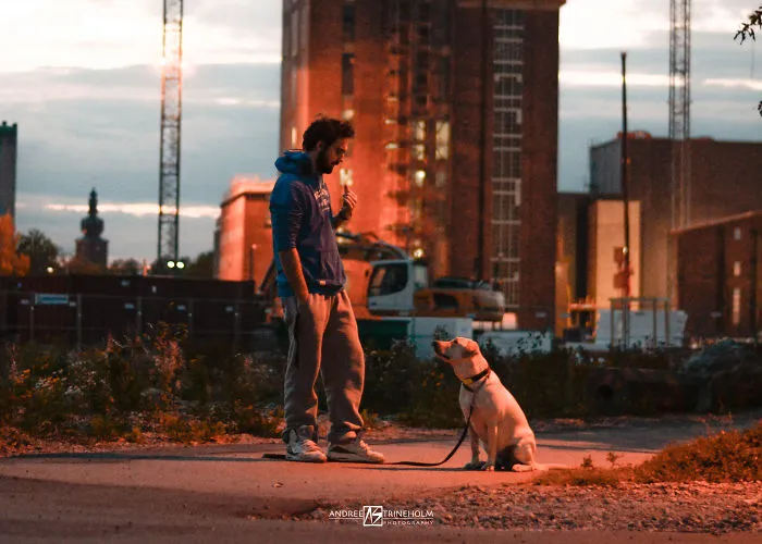 During Every Trip I Take A Picture Of My Husband And Our Labrador In The Same Position