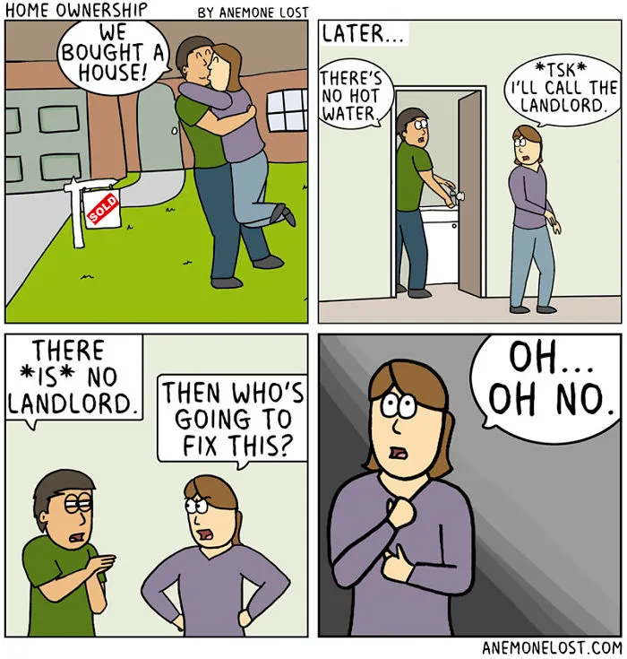 70 Comics That Sum Up My Life As An Adult