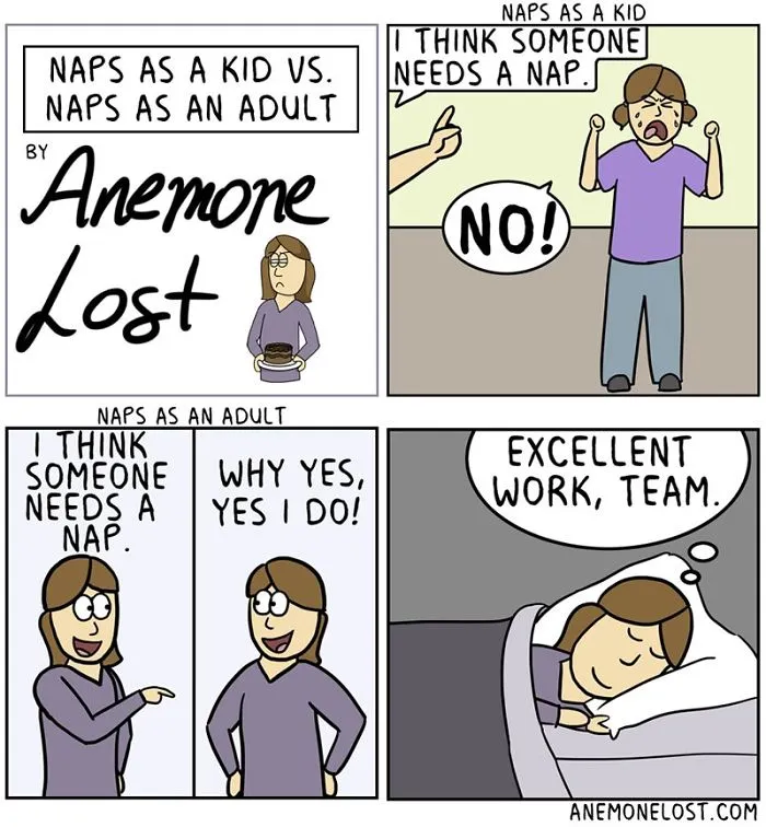 70 Comics That Sum Up My Life As An Adult