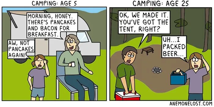 70 Comics That Sum Up My Life As An Adult
