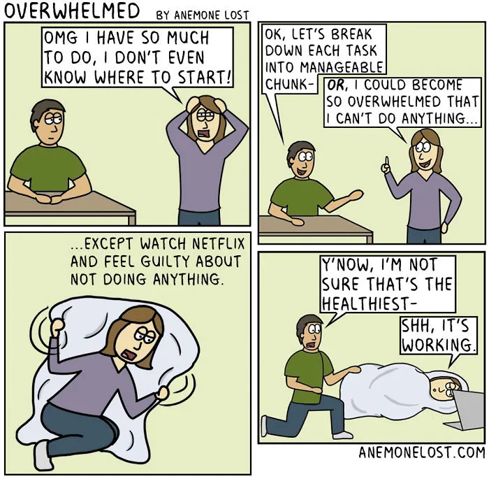 70 Comics That Sum Up My Life As An Adult