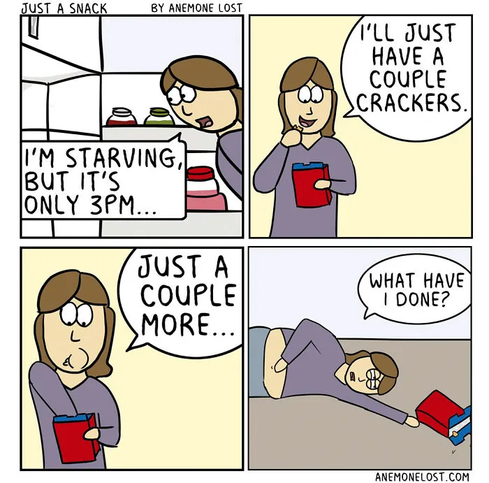 70 Comics That Sum Up My Life As An Adult