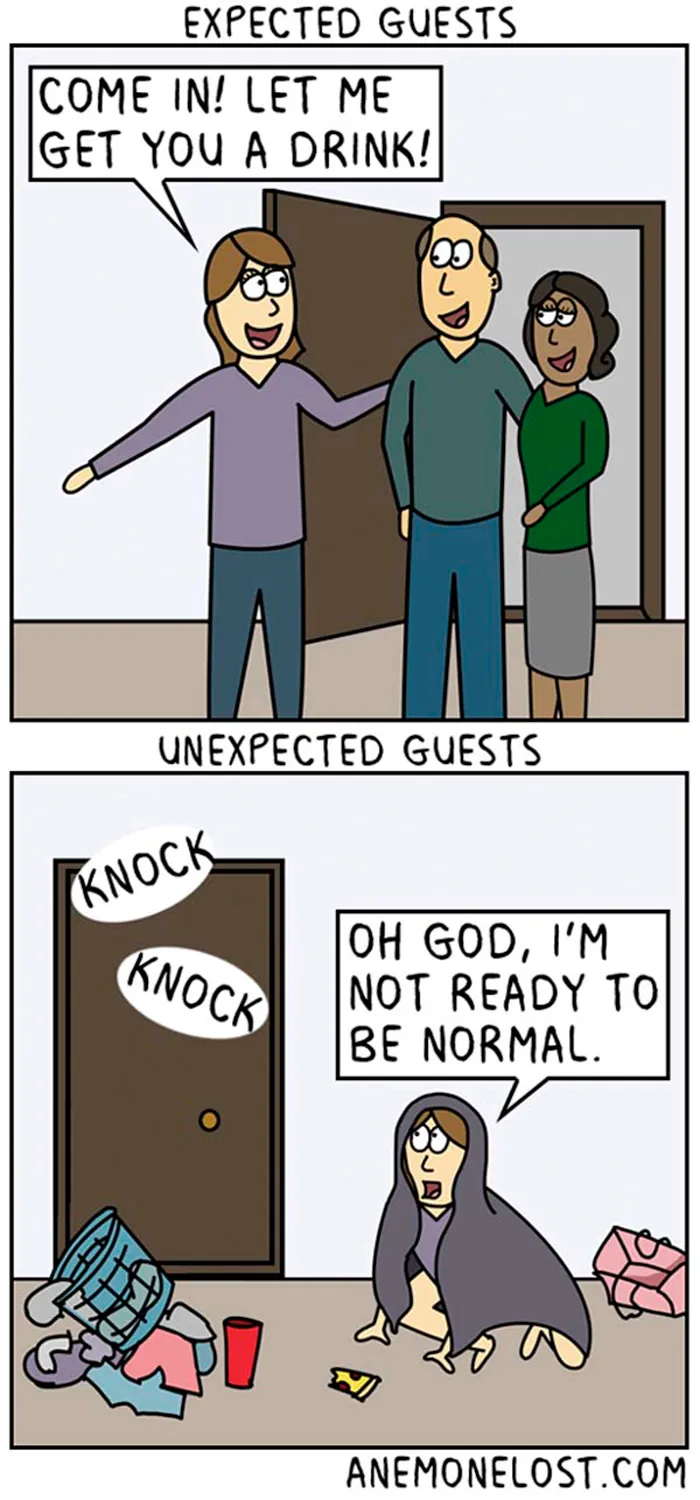 70 Comics That Sum Up My Life As An Adult