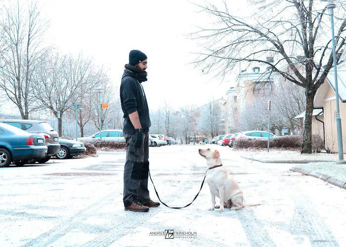 During Every Trip I Take A Picture Of My Husband And Our Labrador In The Same Position