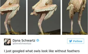 81 Posts That Will Destroy Your World View