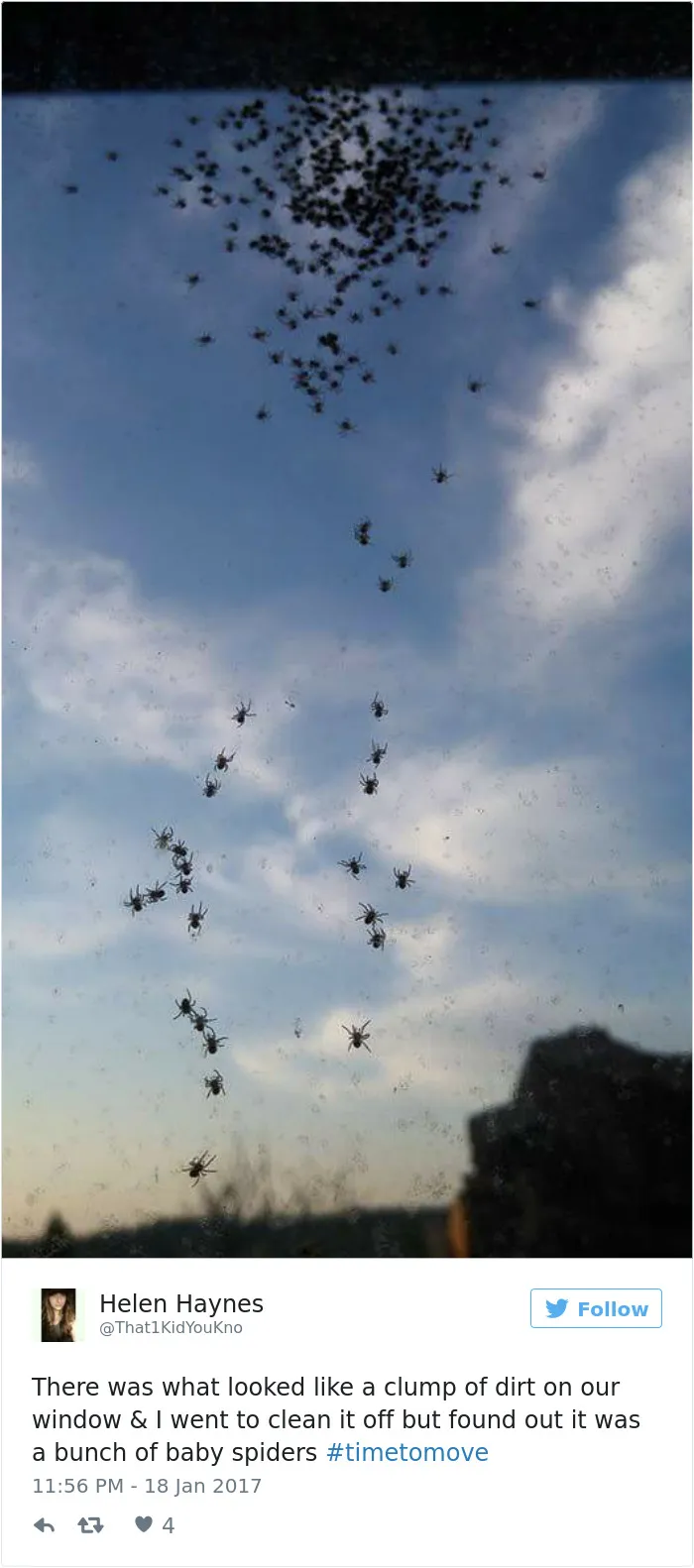152 Of The Craziest Things That Made People Suddenly Realize It Was #TimeToMove