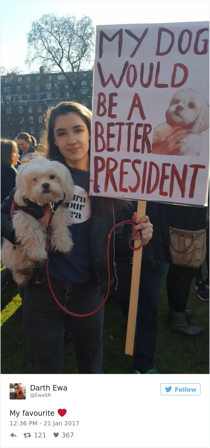 235 Of The Best Signs From Women's Marches Around The World