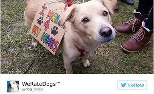 235 Of The Best Signs From Women's Marches Around The World