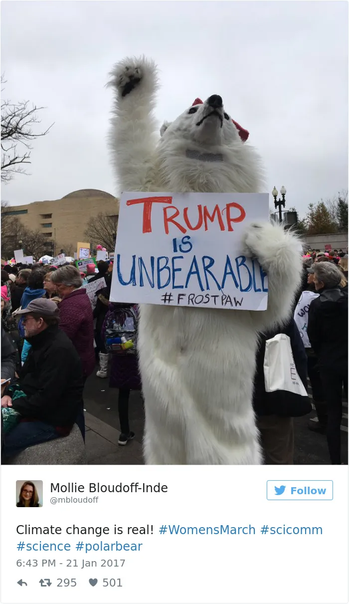 235 Of The Best Signs From Women's Marches Around The World