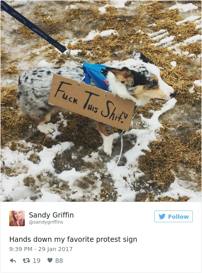 31 Of The Best Signs From Muslim Ban Protests