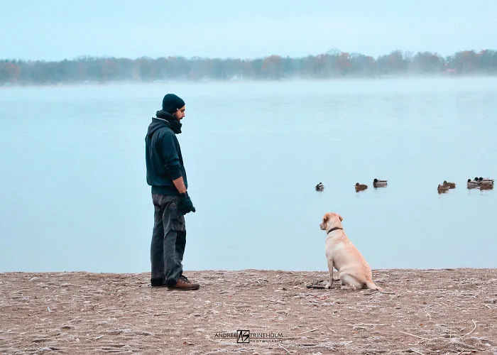 During Every Trip I Take A Picture Of My Husband And Our Labrador In The Same Position