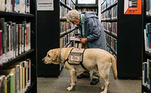 Lonely 92-Year-Old Vet Refuses To Leave Home, Until She Meets This Dog