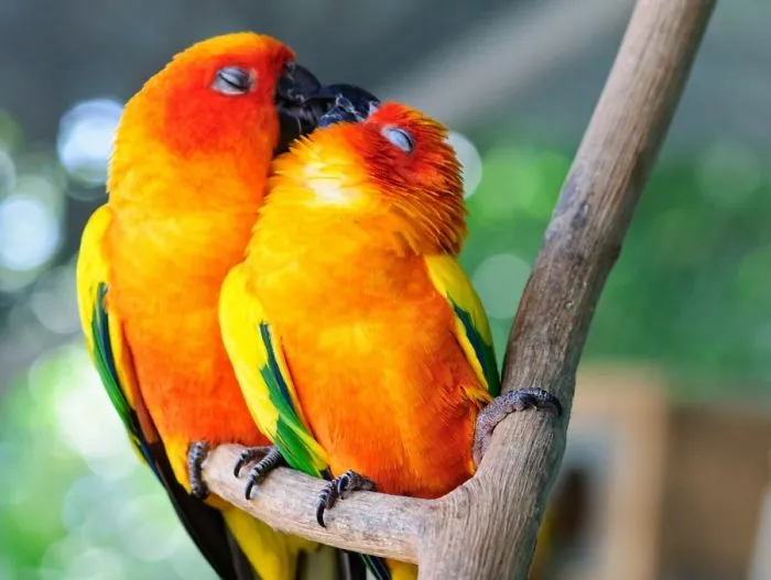 Love Is In The Air!