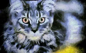 Http://akoshorvath.net/
i Am A Hungarian Stock & Fine Art Photographer, Living In Budapest, Hungary, Working On Long-Term Projects.