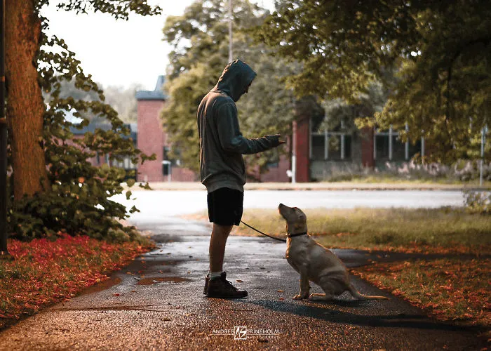 During Every Trip I Take A Picture Of My Husband And Our Labrador In The Same Position