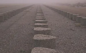 I Love How The Fog Turns The World On Mute