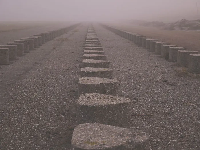 I Love How The Fog Turns The World On Mute