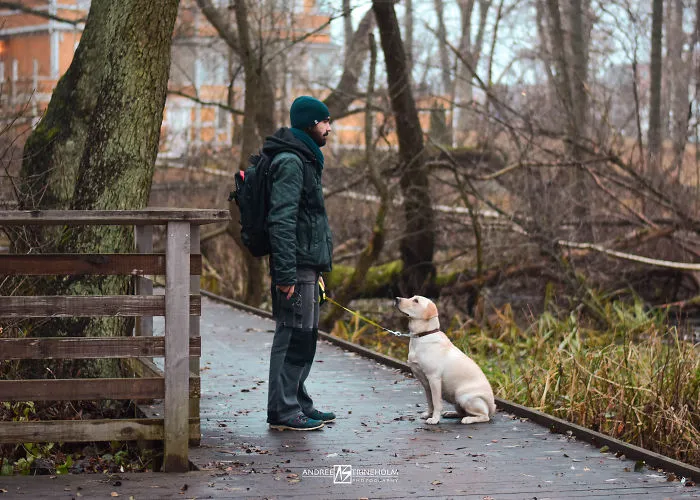 During Every Trip I Take A Picture Of My Husband And Our Labrador In The Same Position