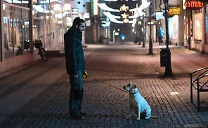 During Every Trip I Take A Picture Of My Husband And Our Labrador In The Same Position
