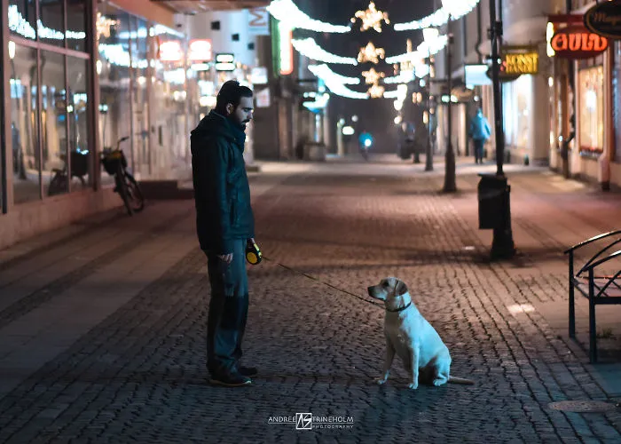 During Every Trip I Take A Picture Of My Husband And Our Labrador In The Same Position