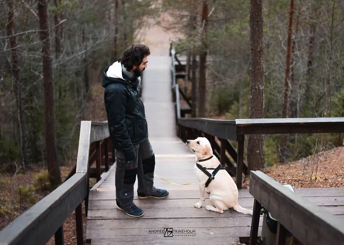During Every Trip I Take A Picture Of My Husband And Our Labrador In The Same Position