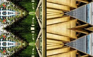 I Turn Daily Photo Into Dynamic Pattern