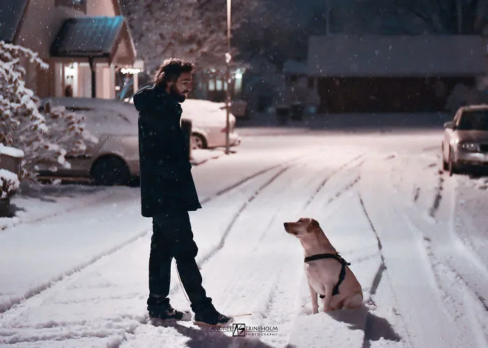 During Every Trip I Take A Picture Of My Husband And Our Labrador In The Same Position