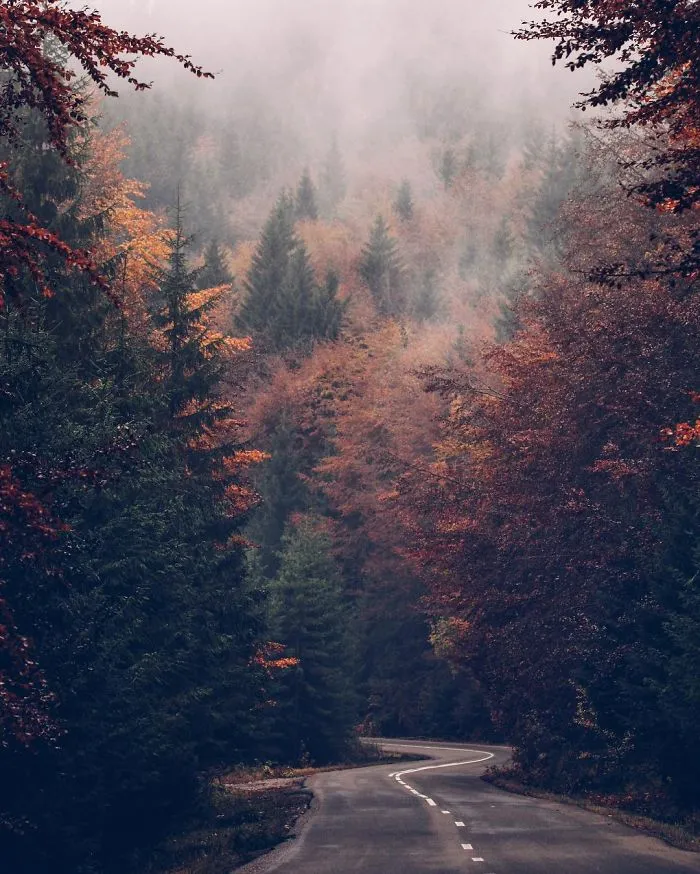 Does It Look Like A Road From Austria? Maybe. But It's In Romania
