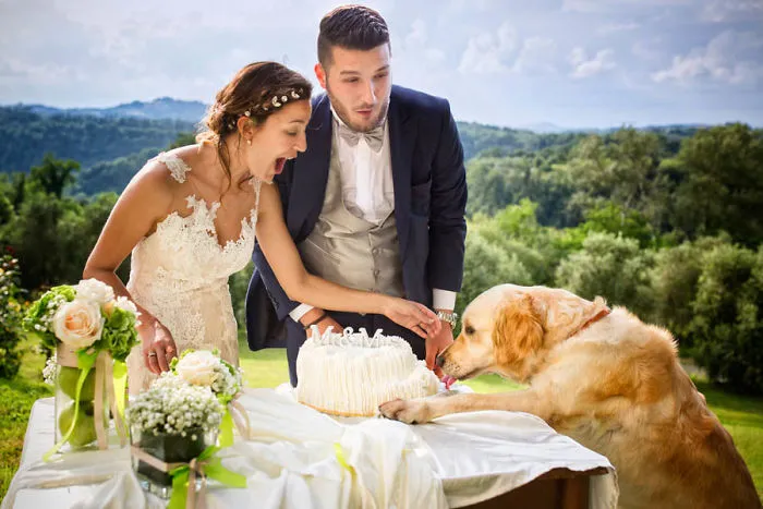 79 Of The Most Stunning Wedding Photos You'll Ever See