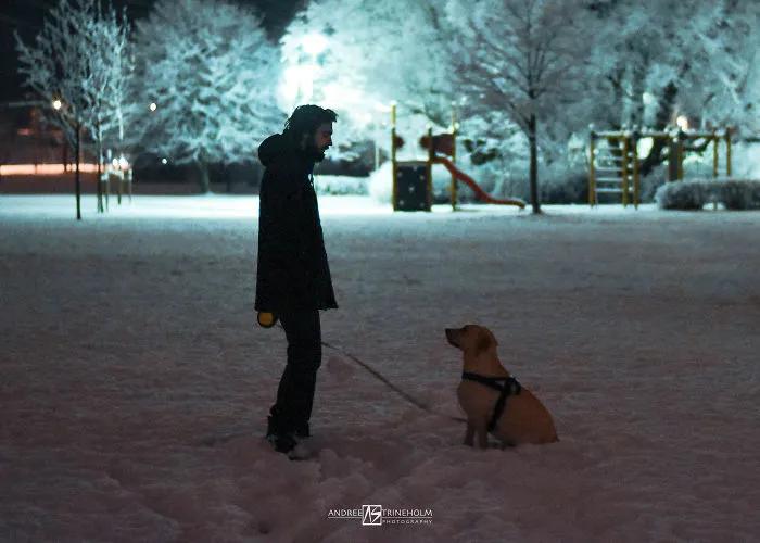 During Every Trip I Take A Picture Of My Husband And Our Labrador In The Same Position