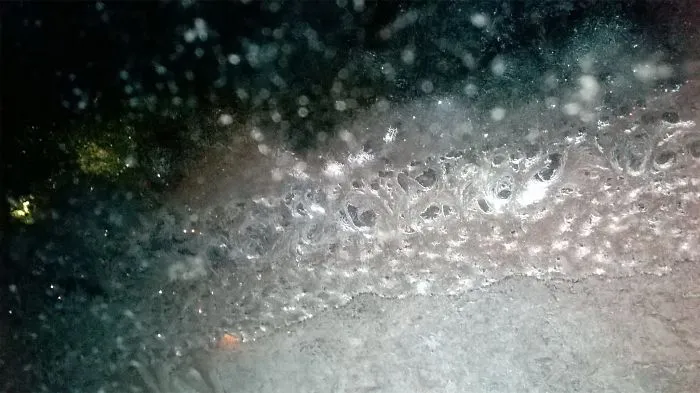My Mom Took Close-Up Photos Of Our Frozen Windows And It's Stunning