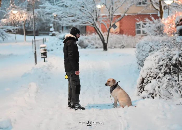 During Every Trip I Take A Picture Of My Husband And Our Labrador In The Same Position
